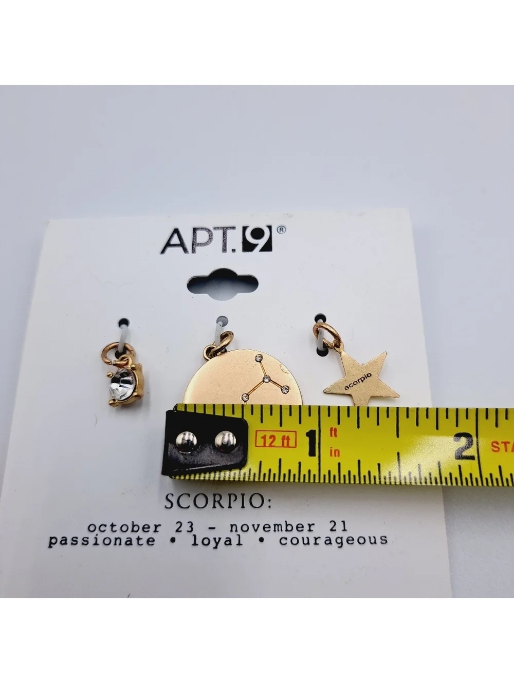 Scorpio Zodiac Pendant Charm Set